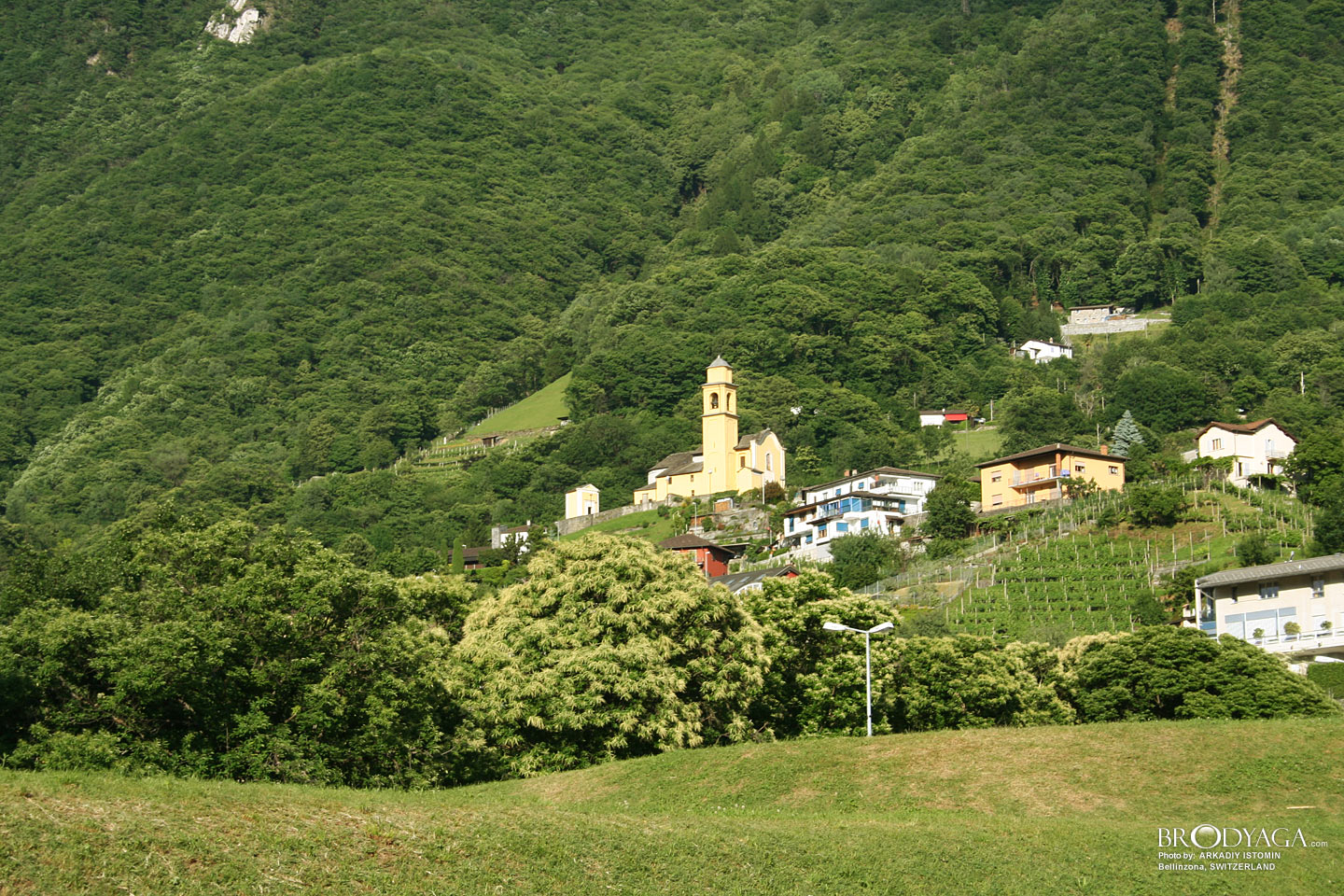 Bellinzona